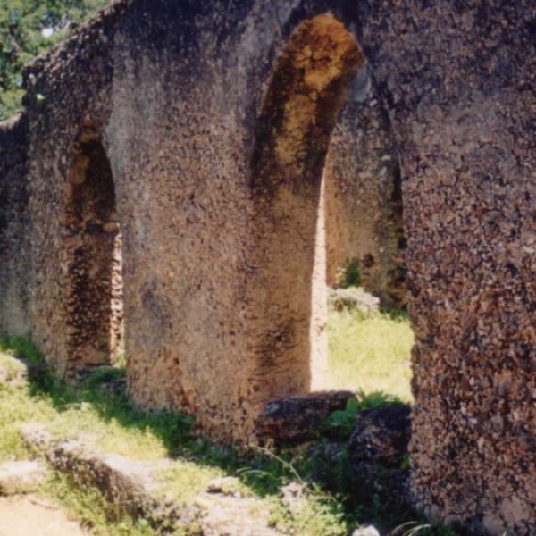 Lamu Ruins visit