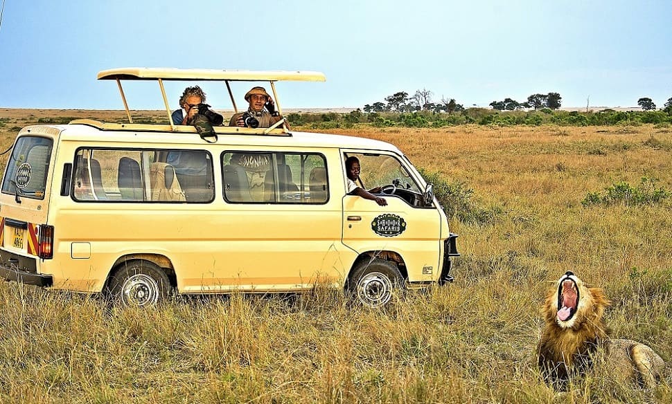 Safari Tours Vehicles