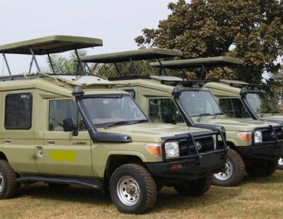 Safari tour vehicles 4X4